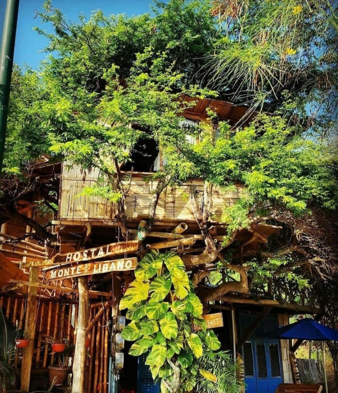 Monte Libano Bed and breakfast